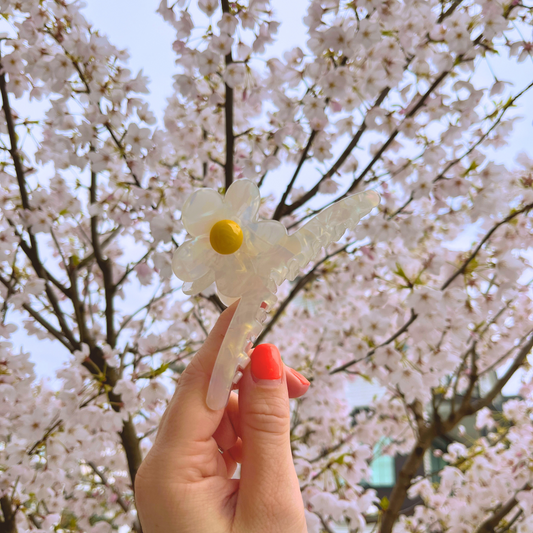 Alyssa Cellulose Acetate Hair Claw Clips