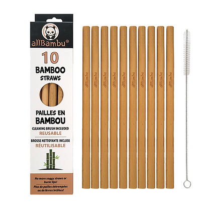 Bamboo Straws - Pack of 10