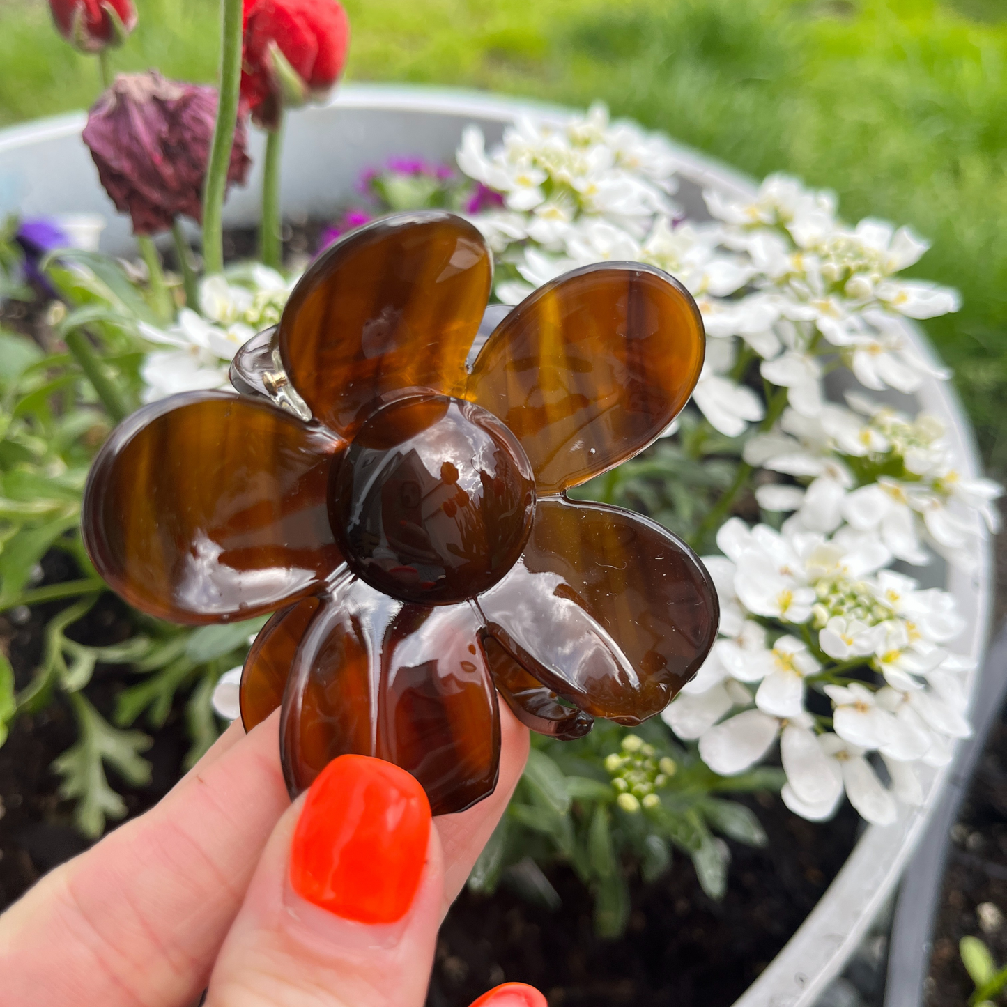 Hana Cellulose Acetate Hair Claw Clips